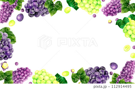 ぶどう（巨峰、デラウェア、シャインマスカット）のフレーム　フルーツの手描き水彩イラスト背景素材 112914495