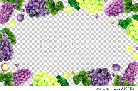 葡萄框架（巨峰，德拉瓦州，閃耀馬斯喀特）手繪水果水彩插畫背景素材 112914495