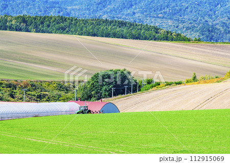北海道　初秋の美瑛の丘 112915069