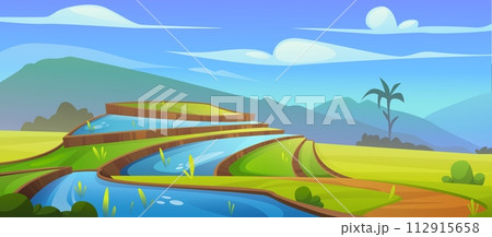 Rice field and farm agriculture landscape vector 112915658