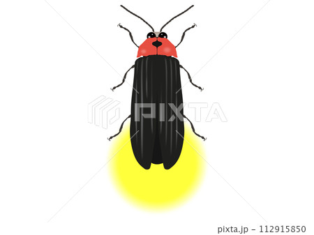 「ゲンジボタル」発光 「ゲンジボタル」発光 112915850