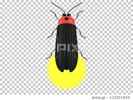 「ゲンジボタル」発光 「ゲンジボタル」発光 112915850