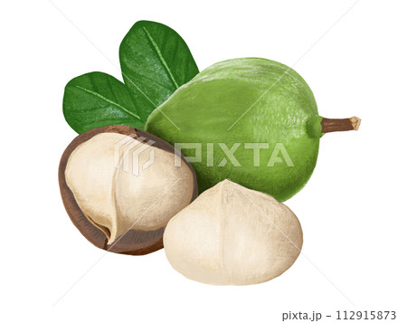 ヘーゼルナッツ 112915873