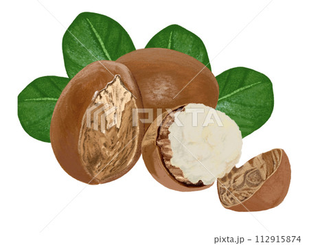 シアバター 112915874