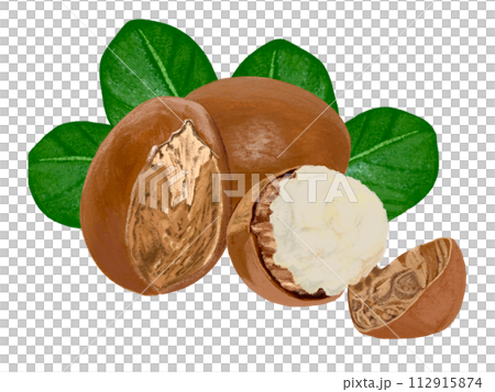 シアバター 112915874