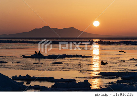 国後島からの日の出と流氷 112916219