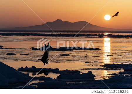国後島からの日の出と流氷 112916223