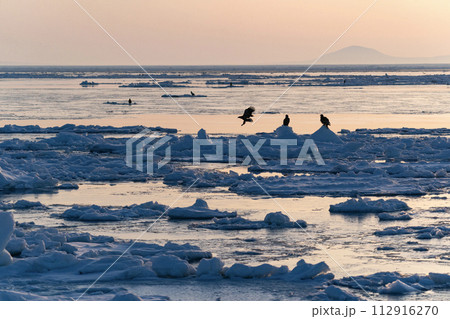 国後島からの日の出と流氷 112916270