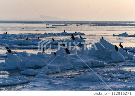 国後島からの日の出と流氷 国後島からの日の出と流氷 112916271