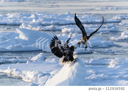 国後島からの日の出と流氷 112916592