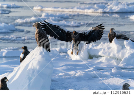 国後島からの日の出と流氷 112916621
