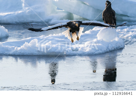 国後島からの日の出と流氷 112916641