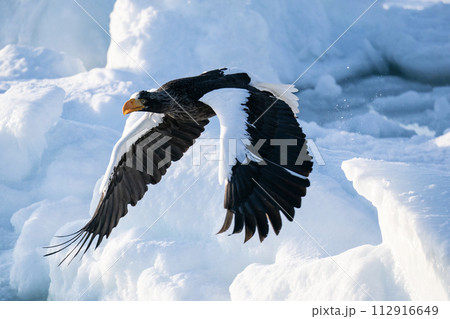 国後島からの日の出と流氷 112916649