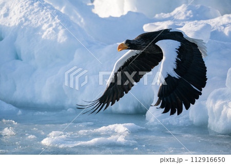 国後島からの日の出と流氷 112916650