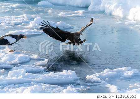 国後島からの日の出と流氷 112916653