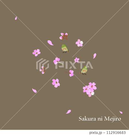 桜にメジロ デザイン03 桜にメジロ デザイン03 112916683