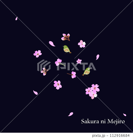 桜にメジロ デザイン04 桜にメジロ デザイン04 112916684