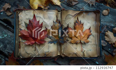 Autumn leaves resting on open vintage book, fall colors and nostalgia. seasonal natural background for relaxation and reflection. cozy, artistic scene. AI 112916747