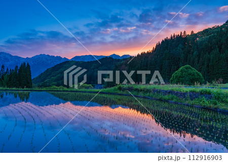 （長野県）夕焼け空に染まった白馬村・青鬼（あおに）集落の棚田と北アルプス 112916903