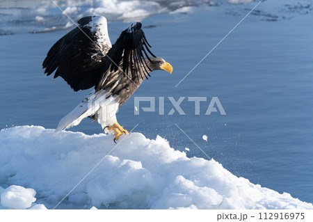 国後島からの日の出と流氷 112916975