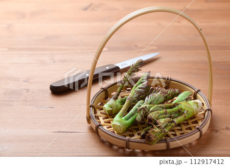 山菜の王様 タラの芽 112917412