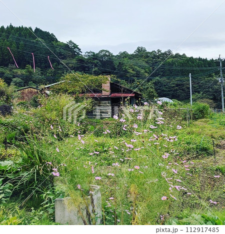 緑に包まれた廃屋 112917485