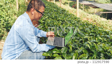 Smart farmer using laptop in eco green farm sustainable quality control. Close up Hand typing laptop computer quality control plant tree. Farmer hands using technology in eco Farmland biotechnology Smart farmer using laptop in eco green farm sustainable quality control. Close up Hand typing laptop computer quality control plant tree. Farmer hands using technology in eco Farmland biotechnology 112917590