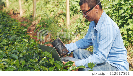 Smart farmer using laptop in eco green farm sustainable quality control. Close up Hand typing laptop computer quality control plant tree. Farmer hands using technology in eco Farmland biotechnology Smart farmer using laptop in eco green farm sustainable quality control. Close up Hand typing laptop computer quality control plant tree. Farmer hands using technology in eco Farmland biotechnology 112917591