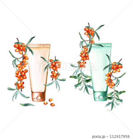 Collection with sea buckthorn branches, berries, leaves and plastic tube for cream, lotion, mask, shampoo. Hand drawn watercolor illustration isolated on white background. For clip art label package Collection with sea buckthorn branches, berries, leaves and plastic tube for cream, lotion, mask, shampoo. Hand drawn watercolor illustration isolated on white background. For clip art label package 112917956