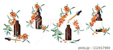 A set of sea buckthorn plant branches and small brown glass bottles droppers with pipette oil, serum, medicine. Hand drawn watercolor illustration isolated on white. For clip art template label A set of sea buckthorn plant branches and small brown glass bottles droppers with pipette oil, serum, medicine. Hand drawn watercolor illustration isolated on white. For clip art template label 112917960
