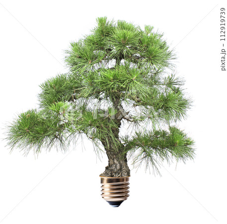 Light bulb with growing green pine tree. Ecological technology, eco friendly, sustainable environment, Saving energy, conserving resource concept. Isolated on white background Light bulb with growing green pine tree. Ecological technology, eco friendly, sustainable environment, Saving energy, conserving resource concept. Isolated on white background 112919739