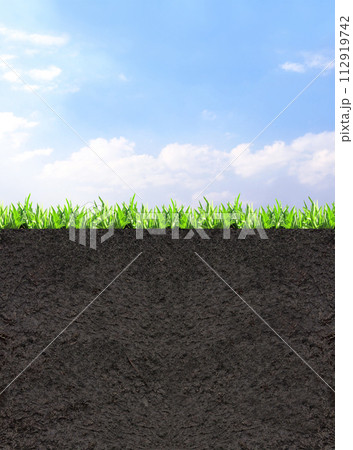 Environmental and conservation protection background. Cross section of grass and soil against blue sky background. Black ground, green grass and blue sky with white clouds. Copy space for text 112919742