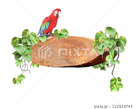 Vintage wooden board with liana branches, tropical leaves Ara parrot. Exotical decor with wood plank, jungle plants and Ara macao. Copy space for text. Isolated on white background. Mock up template 112919743