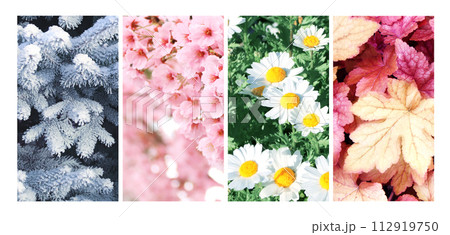 Four seasons of year. Set of vertical nature banners with winter, spring, summer and autumn scenes. Nature collage with seasonal scenics. Copy space for text Four seasons of year. Set of vertical nature banners with winter, spring, summer and autumn scenes. Nature collage with seasonal scenics. Copy space for text 112919750