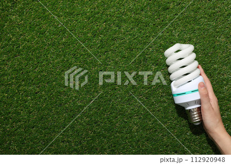 An economical light bulb on the grass An economical light bulb on the grass 112920948