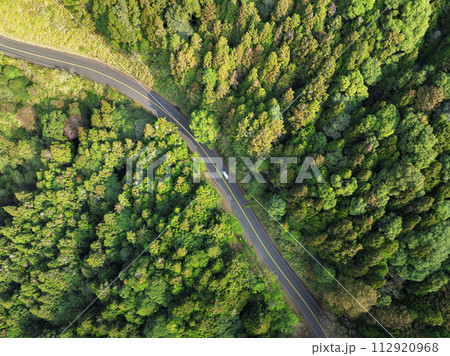 Aerial view asphalt road and green forest Aerial view asphalt road and green forest 112920968