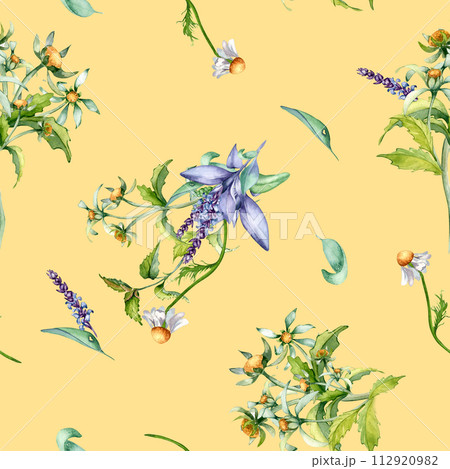 Sage herbal plant, bur-marigold watercolor seamless pattern isolated on yellow background. Salvia, nettle, chamomile, daisy useful flowers hand drawn. Design for label, package, home textile, wrapping Sage herbal plant, bur-marigold watercolor seamless pattern isolated on yellow background. Salvia, nettle, chamomile, daisy useful flowers hand drawn. Design for label, package, home textile, wrapping 112920982