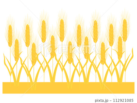 黄金色の小麦畑 112921085