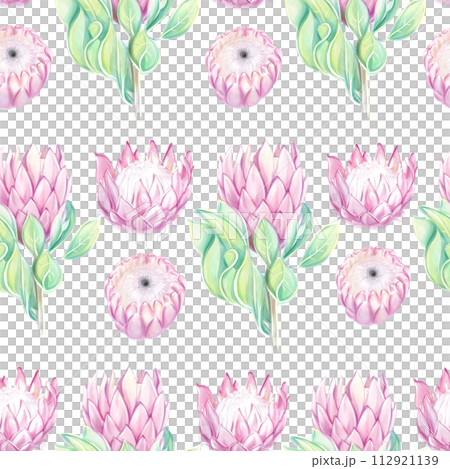 Seamless tropical pattern with pink protea flowers. Watercolor drawing. Ideal for textiles, packaging, printing 112921139