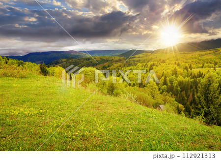 beautiful mountainous countryside scenery in evening light. forest on a grassy hill at sunset 112921313