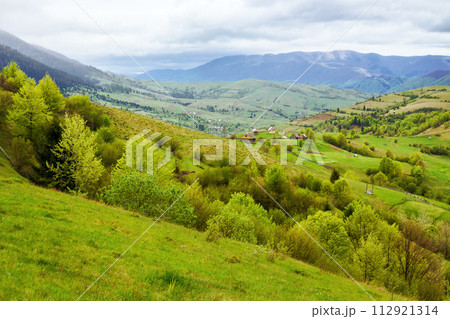 carpathian countryside scenery of ukraine on a cloudy day in spring. forest on a grassy hills in valley. krasna mountain range in the far distance beneath an overcaset sky 112921314