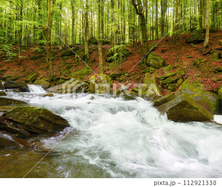 water stream in the carpathian woods among stones. outdoor nature scenery of a creek in beech forest in spring. ecology and fresh water concept water stream in the carpathian woods among stones. outdoor nature scenery of a creek in beech forest in spring. ecology and fresh water concept 112921338