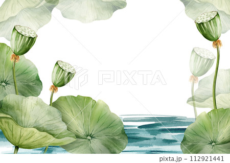 Green lotus leaves and buds growing in water, watercolor illustration isolated on white. Asian tropical water lily plant with bud for spa and yoga salon, blogs and floral botanical cards Green lotus leaves and buds growing in water, watercolor illustration isolated on white. Asian tropical water lily plant with bud for spa and yoga salon, blogs and floral botanical cards 112921441