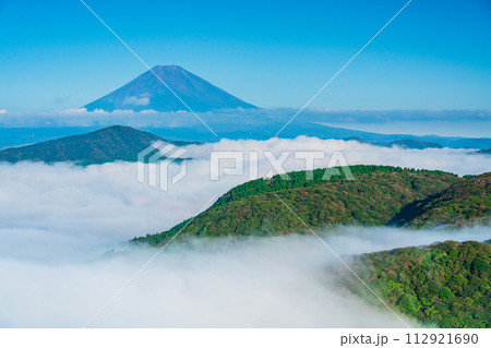 (神奈川県)大雲海の箱根大観山から望む富士山 (神奈川県)大雲海の箱根大観山から望む富士山 112921690