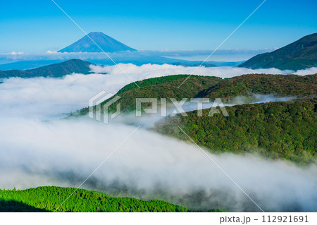 (神奈川県)大雲海の箱根大観山から望む富士山 (神奈川県)大雲海の箱根大観山から望む富士山 112921691