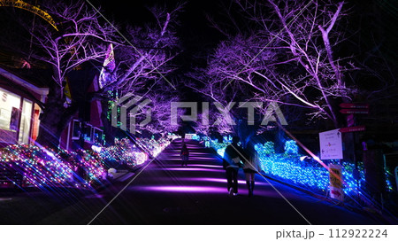 開花前の夜桜イルミネーション 112922224