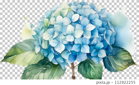 帶有水彩觸感的繡球花插圖 帶有水彩觸感的繡球花插圖 112922255