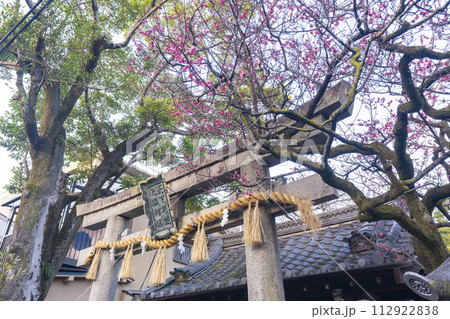 靈光殿天満宮（霊光殿天満宮）　山門と紅梅 112922838