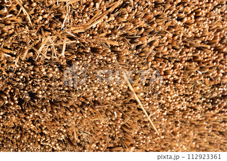 合掌造り　茅葺屋根 112923361