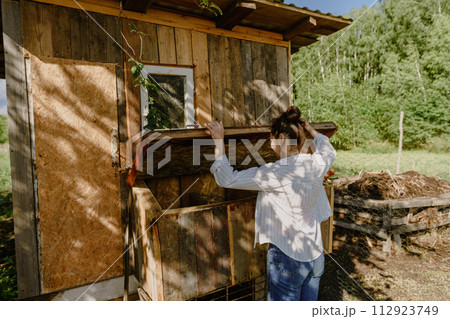 Morning routine on a farm, a woman looks into the nests of a chicken coop to collect eggs. Rural life captured, collection of chicken eggs by a woman farmer on a sunny summer day 112923749